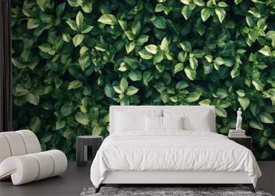 Dense Green Leaf Background with Vibrant Foliage
 Wall mural