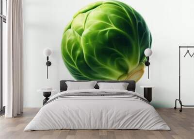 Single Brussels Sprout Isolated on White Background
 Wall mural