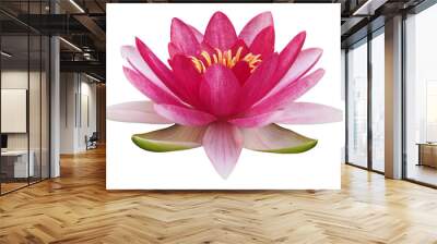 Lotus flower or water lily, PNG, isolated on transparent background Wall mural