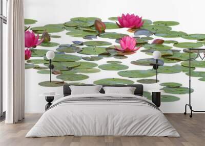 Water lily or Lotus flower, PNG, isolated on transparent background Wall mural