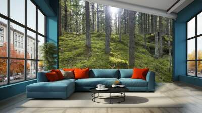 Green forest Wall mural