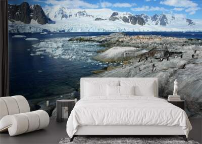 Landscape of Petermann Island in Antarctica Wall mural