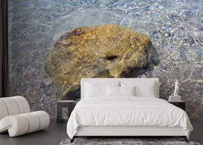 dark yellow rock boulder in the sea water horizontal center Wall mural