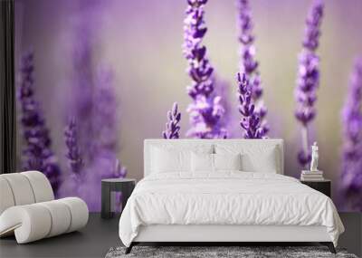 Lavender flower Wall mural