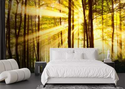 Magic sunny forest Wall mural