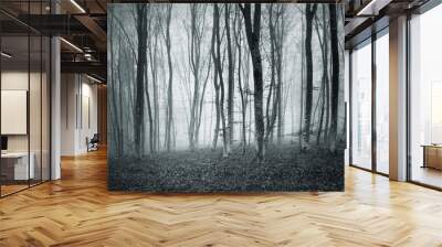 Monochrome black and white grunge textured color foggy mystic forest trees landscape. Wall mural