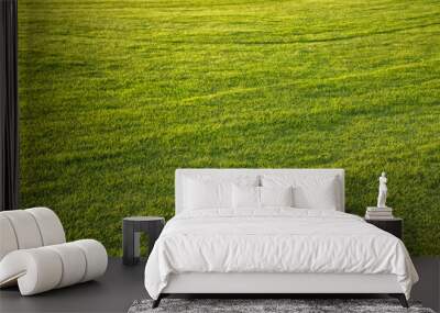 Sunny soccer grass field background. Wall mural