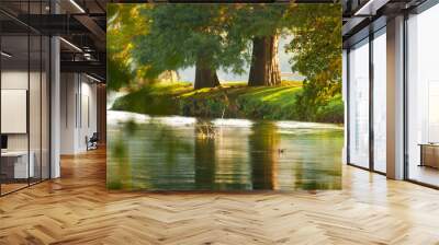 two autumn riverside trees Wall mural