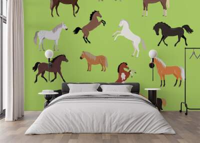 Illustration of Different Breeds of Horses Wall mural