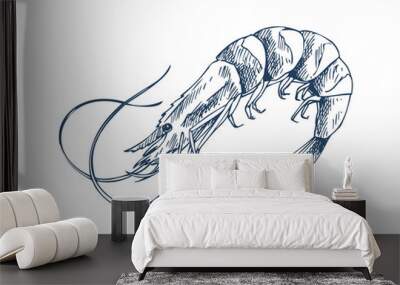 Small Aquatic Creature Shrimp Monochrome Depiction Wall mural