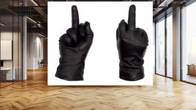 Hands wearing black leather gloves make the offensive middle finger gesture, view from front and back.  Female hand isolated, no skin Wall mural