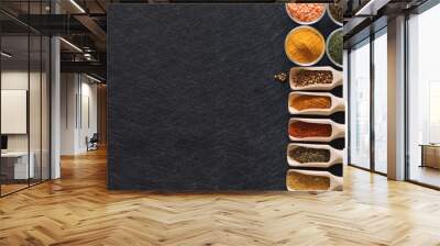 Herbs, spices and food additives on a dark background with an empty place Wall mural