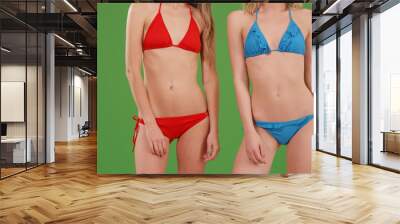 Two slender white bikini girls standing together on green screen Wall mural