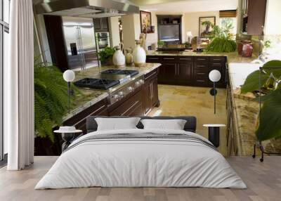 luxury kitchen with a modern gas stove. Wall mural