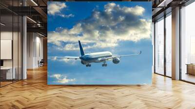 Big airplane fly to blue sky after taking off at sunset.Travel background. Passenger plane. Commercial aircraft. Private jet Wall mural