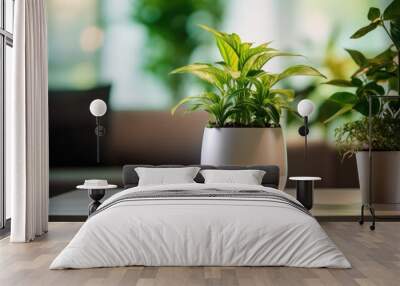 A stylish indoor plant in a sleek pot, illuminated by soft lighting, adds a touch of greenery to a modern living space with a blurred natural background, Led Lighted Planter, Smart Planter Wall mural