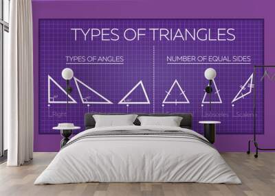 banner  types of triangles Wall mural