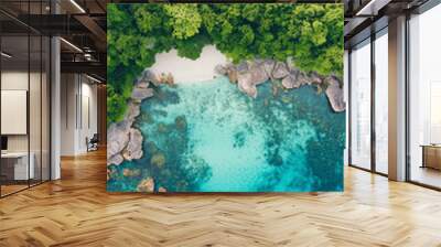 Drone view of white sand beach and jungle in tropical island Wall mural