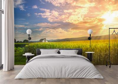 Vibrant sunset in corn field with sun rays Wall mural