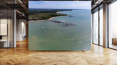 Amazing paradisiacal and deserted beach with clear blue waters and visible corals at low tide - Cumuruxatiba, Bahia, Brazil - aerial drone view Wall mural