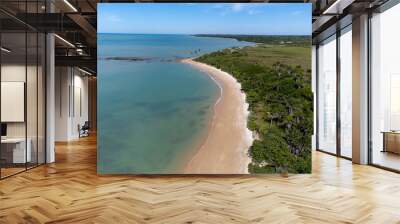 Amazing paradisiacal and deserted beach with clear blue waters and visible corals at low tide - Cumuruxatiba, Bahia, Brazil - aerial drone view Wall mural