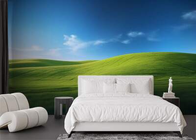 green field and blue sky Wall mural