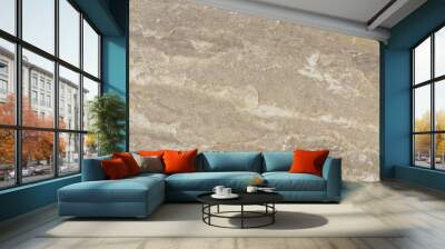 Brown stone background Wall mural