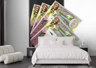 3d Illustration of Iraqi dinar notes inside mobile phone Wall mural