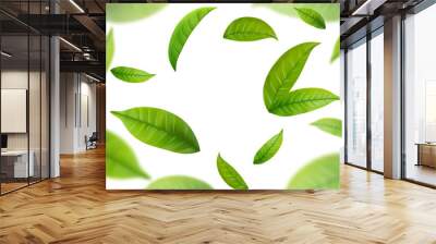 Realistic green tea leaves in motion Wall mural