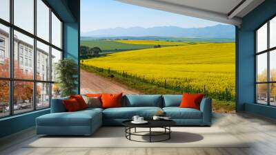 Canola fields with the Riviersonderend Mountains in the background. Near Riviersonderend. Western Cape. South Africa Wall mural