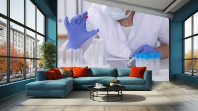 Close-up of professional female scientist in protective eyeglasses making experiment with reagents in laboratory. Medicine and research concept Wall mural