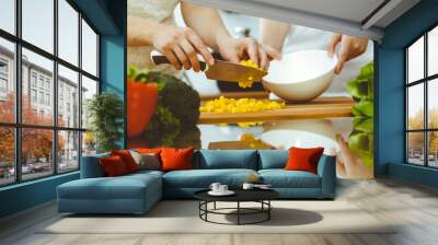 Closeup of human hands cooking in kitchen. Mother and daughter or two female friends cutting vegetables for fresh salad. Friendship, family dinner and lifestyle concepts Wall mural