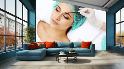 Professional beautician is doing cosmetic procedure at light medical background touching patient's face with brush, closeup. Cosmetology treatment Wall mural