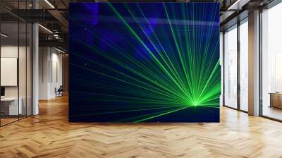 People watching laser show Wall mural