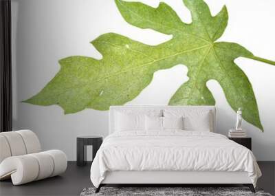 leaf with leaves Wall mural