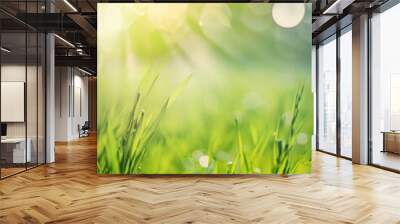 natural grass background with blurred bokeh and sun Wall mural