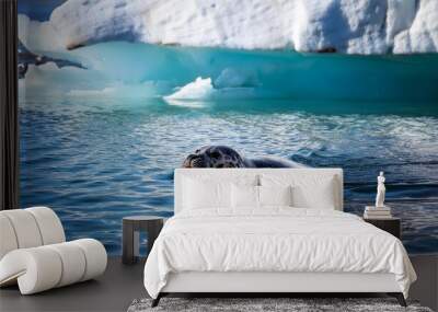 a spotted seal swims in the ocean next to glaciers melting icebergs by the coast of greenland on a beautiful summer day melting of a iceberg and pouring water into the sea greenland Wall mural