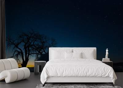 Beautiful scenery of a house under the magical night sky Wall mural