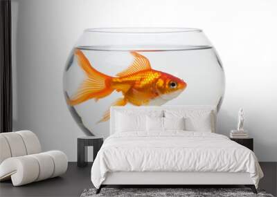 goldfish in a bowl Wall mural