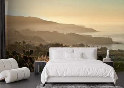 California coast south of Palos Verdes, Los Angeles Wall mural