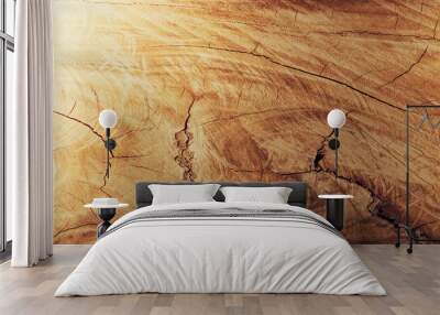 backgrounds and textures concept - wooden texture or background Wall mural