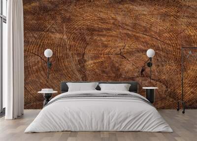 backgrounds and textures concept - wooden texture or background Wall mural