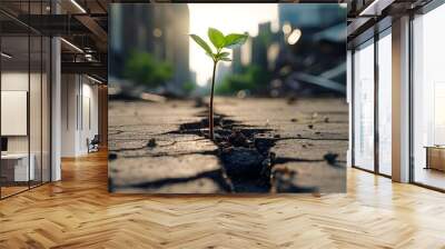 A symbol of hope: a green shoot grows from under the asphalt, as a symbol of new life and opportunities that always break through Wall mural