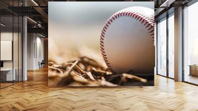 A white leather baseball sits quietly on the pitcher's mound  Wall mural