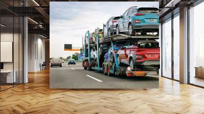 Cars carrier truck at asphalt highway road in Poland Wall mural