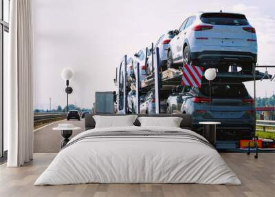 Cars carrier truck in asphalt highway road of Poland Wall mural