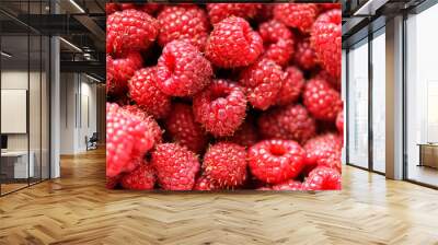 Fresh raspberries background closeup Wall mural