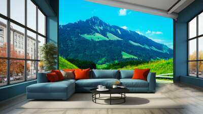 Road and Prealps mountains in Gruyere of Fribourg Switzerland reflex Wall mural