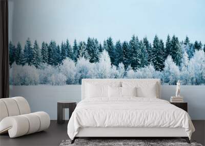 Winter road with snow in Finland. Landscape of Lapland in Europe. Forest along highway during ride. Snowy trip. Cold driveway. Driving in Finnish motorway on north Rovaniemi village. View with tree Wall mural