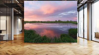 Colorful sunset over swamp and forest: reflection of clouds, nature of Northern Europe, summer evening. Wall mural